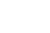 The Employment Lawyers